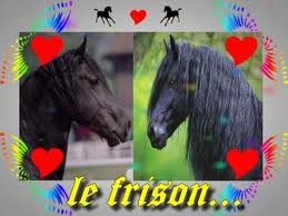 Photo de profil de dodo74