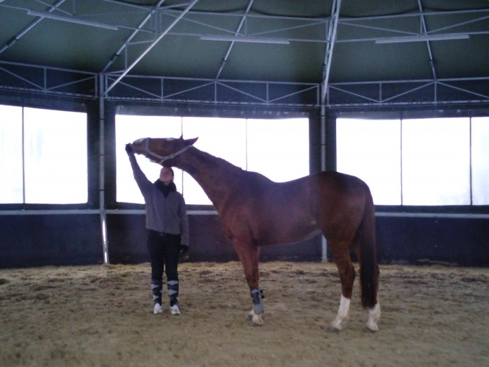 Photo de profil de fancym