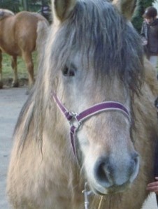 Photo de profil de sicasica