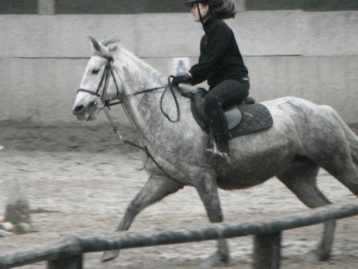 Photo de profil de ana030