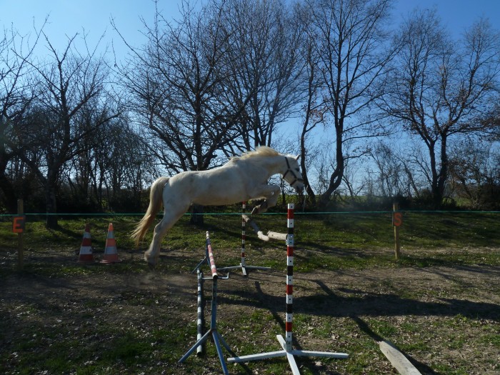 Photo de profil de hachkenneetme