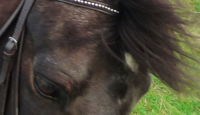 Photo de profil de kikoucmwa