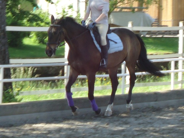 Photo de profil de alily95