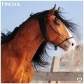 Photo de profil de mmiiss