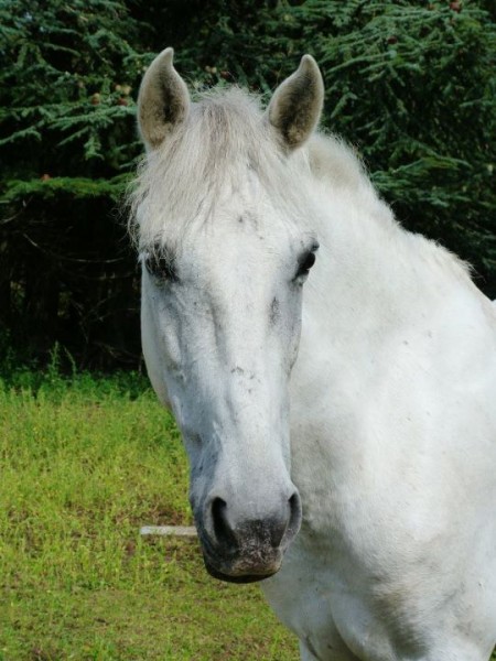 Photo de profil de marieprigent