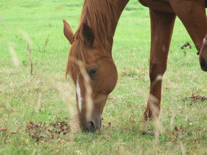 Photo de profil de brisbane5