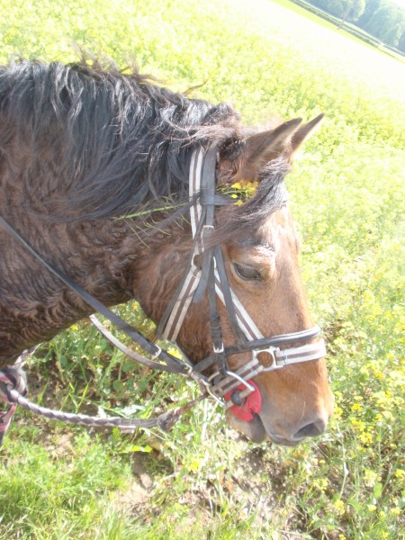 Photo de profil de sansan2712