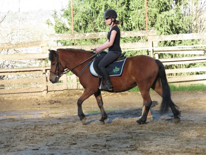 Photo de profil de spongebob64