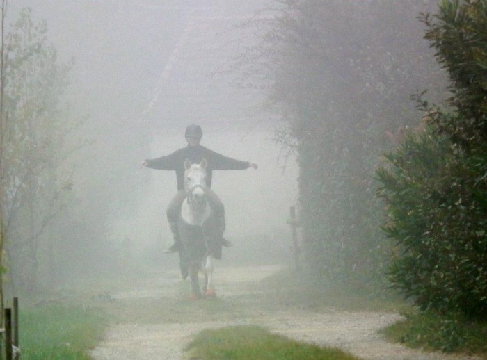 Photo de profil de canellenikis