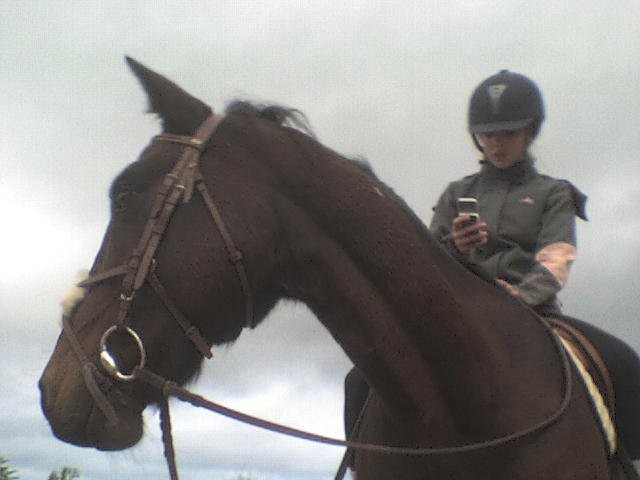 Photo de profil de axellee25