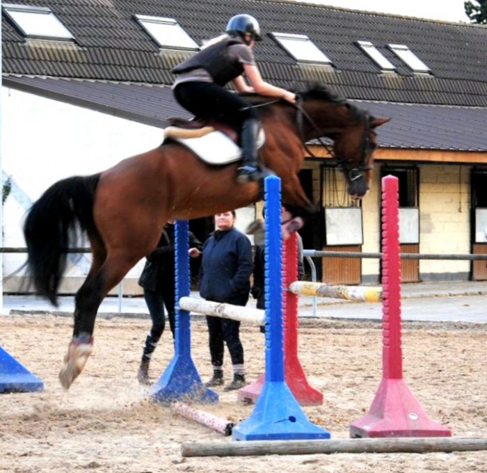 Photo de profil de fanette.royer