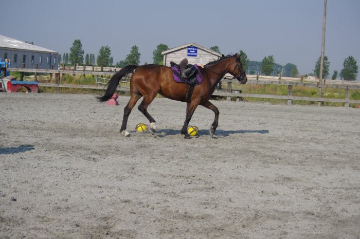 Photo de profil de oceaaane