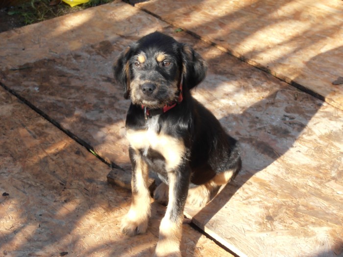 Photo de profil de veni56