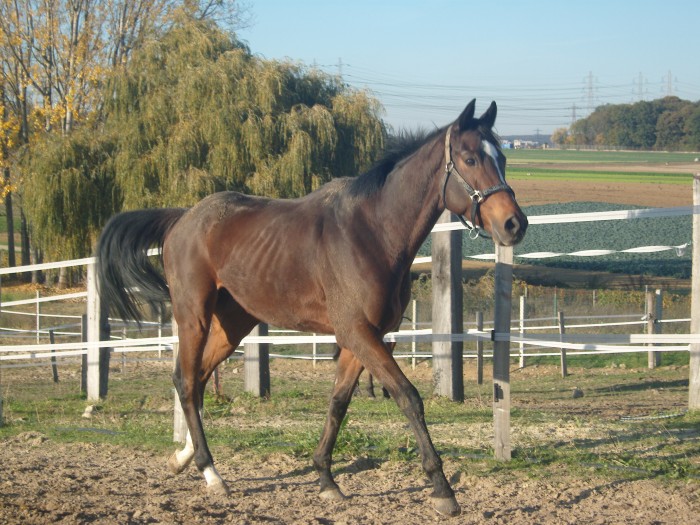 Photo de profil de janovaron