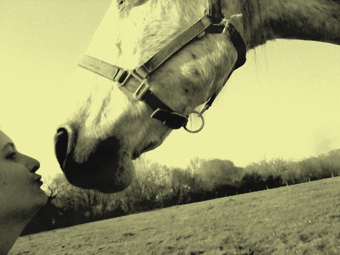 Photo de profil de noophiie