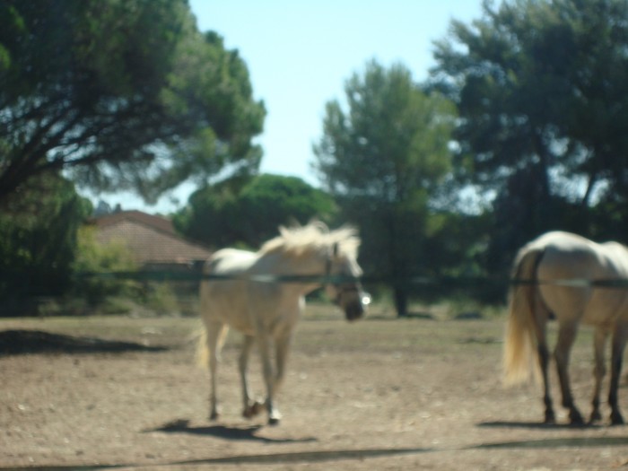 Photo de profil de morganeiso