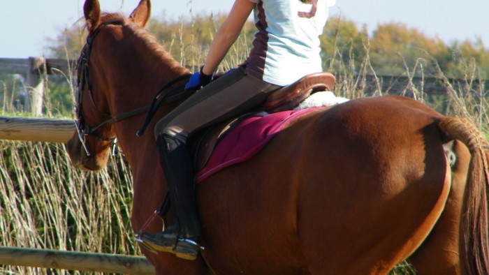 Photo de profil de liselarosa