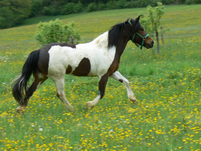 Photo de profil de okaidie25