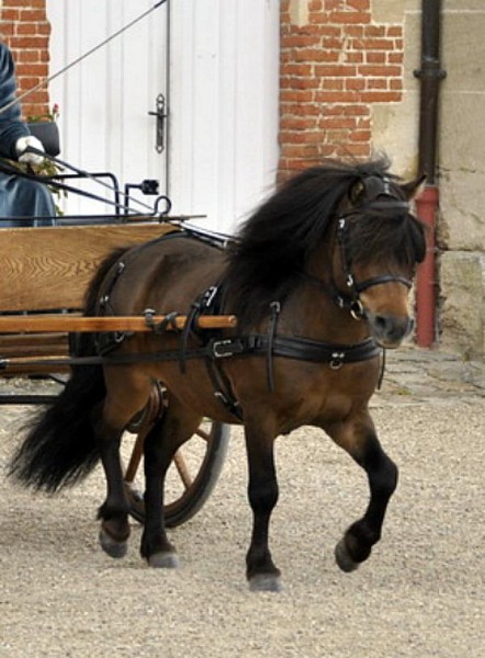 Photo de profil de quixter