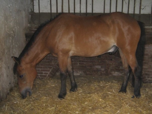 Photo de profil de misscoco27150