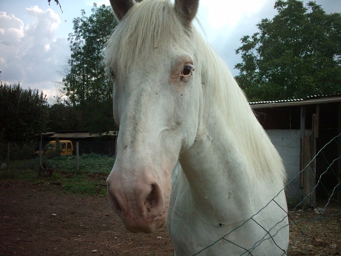 Photo de profil de mariloue