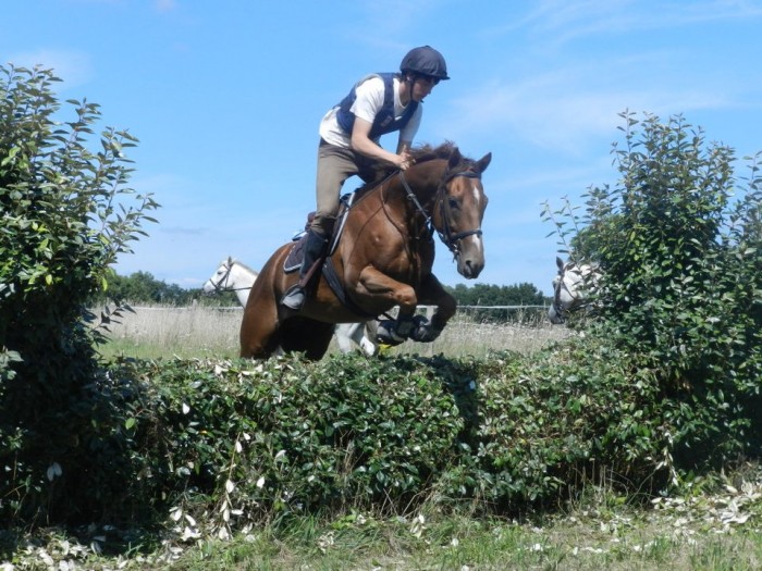 Photo de profil de m.daniel