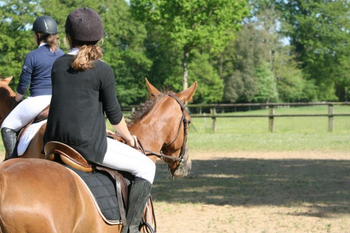 Photo de profil de lebonheuraponey