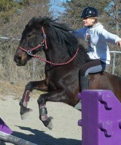 Photo de profil de lautornade04