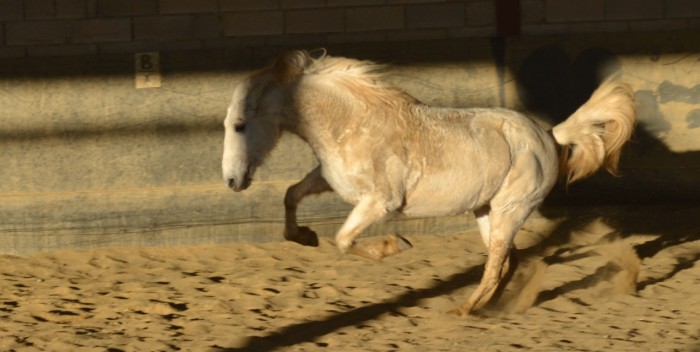 Photo de profil de galou11