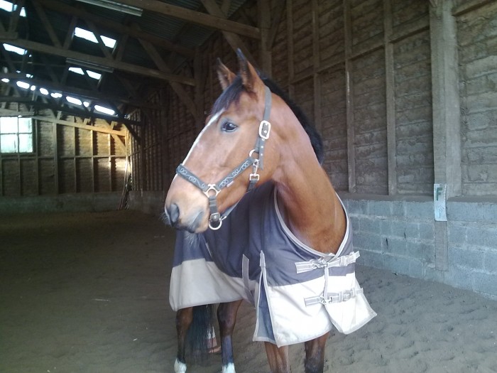 Photo de profil de signor