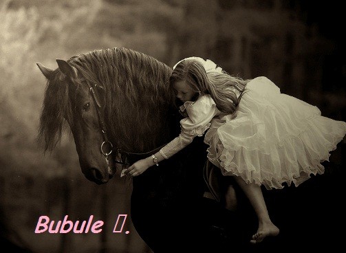 Photo de profil de bubule