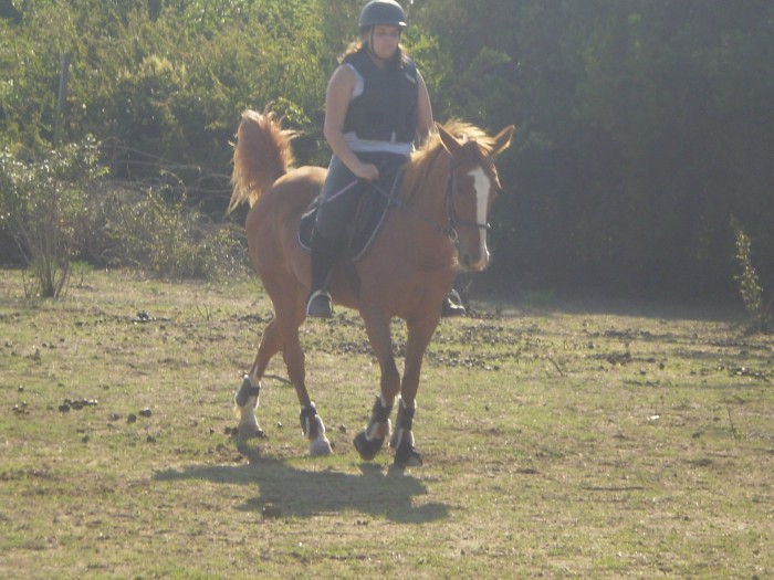 Photo de profil de mistralounette