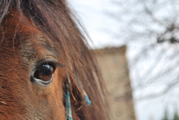 Photo de profil de dunca