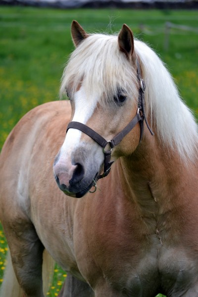 Photo de profil de laurette68