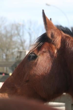 Photo de profil de jukiwi68