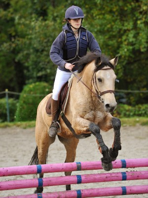 Photo de profil de marcelo