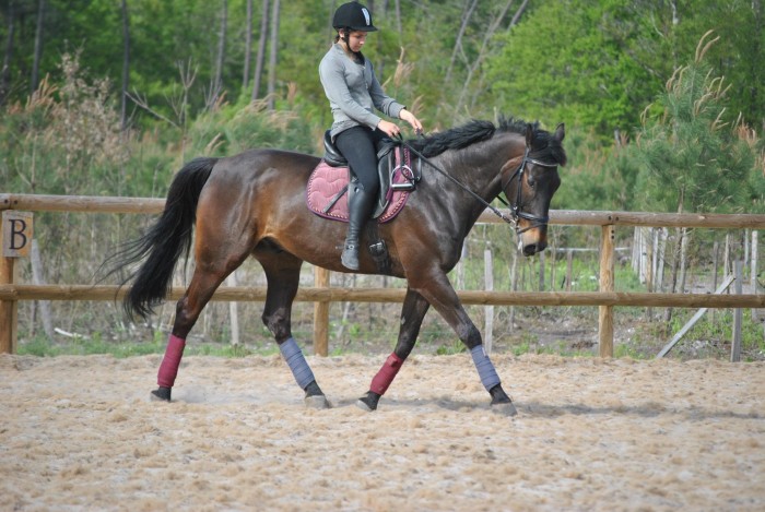 Photo de profil de fr33