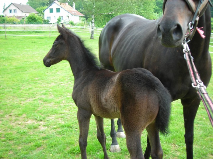 Photo de profil de gysmot