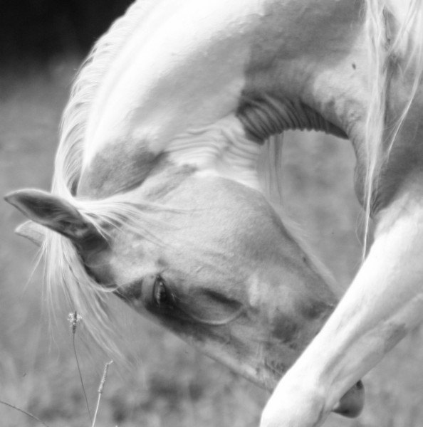 Photo de profil de anoia