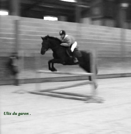 Photo de profil de ulixdugaron