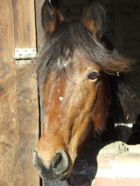 Photo de profil de havane59
