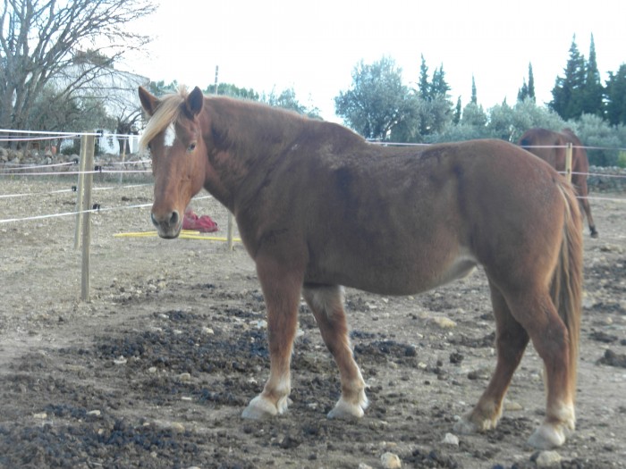 Photo de profil de paolina83