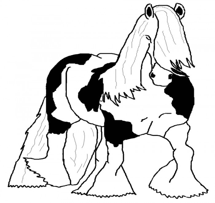 Photo de profil de domainedetjos