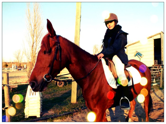 Photo de profil de mjaac