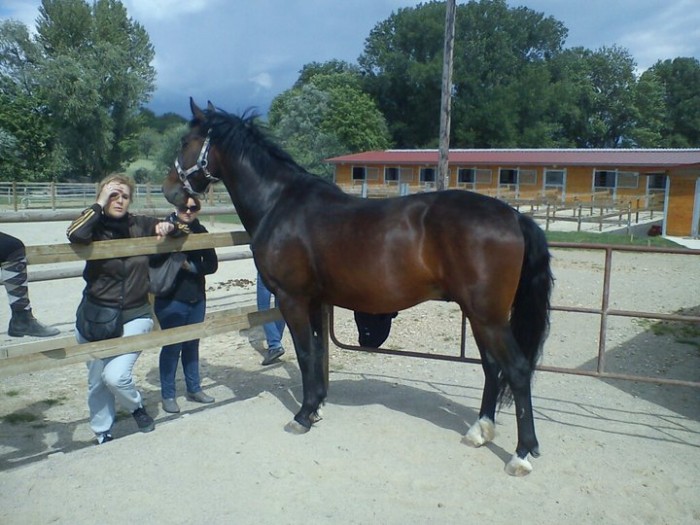 Photo de profil de tenderlove