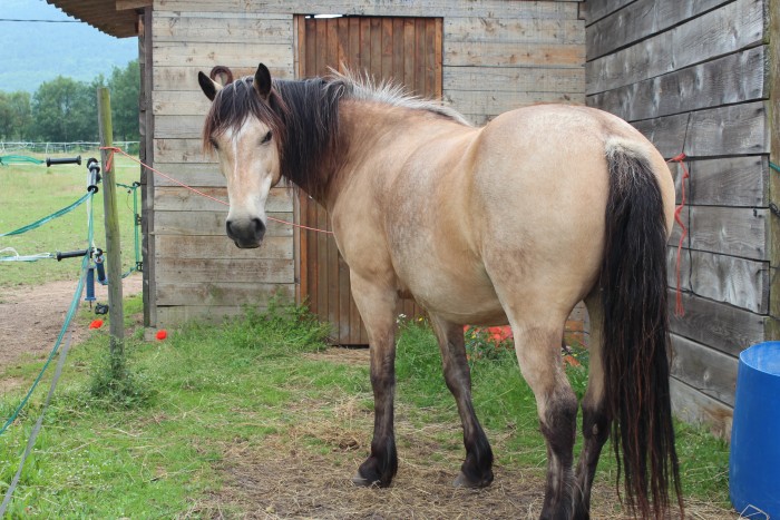 Photo de profil de lounna83