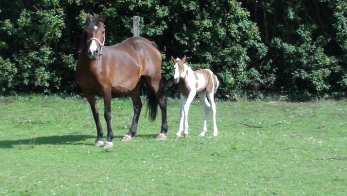 Photo de profil de amaadiine