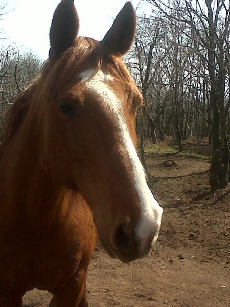 Photo de profil de nono11