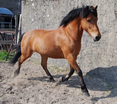 Photo de profil de moncochon.