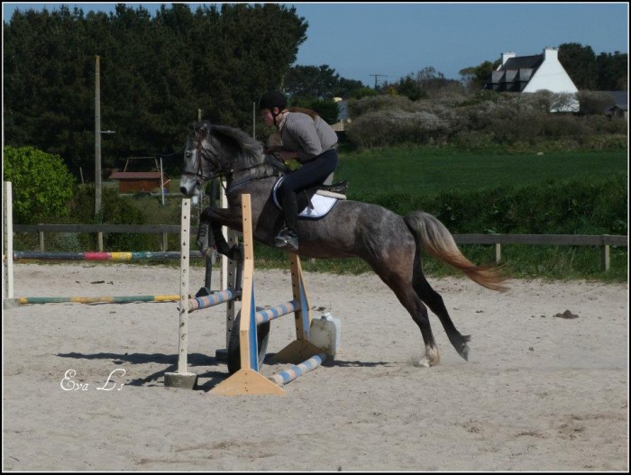 Photo de profil de camillea29